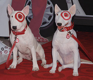 Guess Which Dog Is Real?
