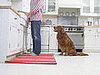 Research Investigates Psychic Powers of Pooches!