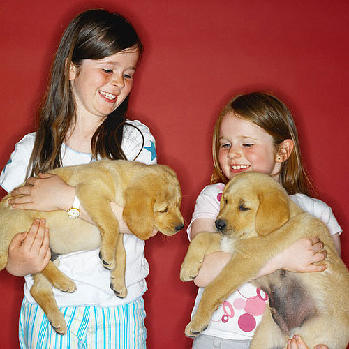 Which Pet Is Cuter?