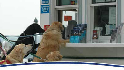 Out & About: Virginia's Riverboat Canine Cruises