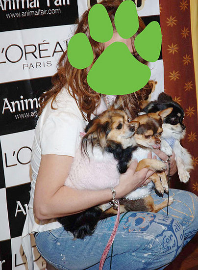 Guess Who?