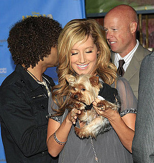 Name That Dog!