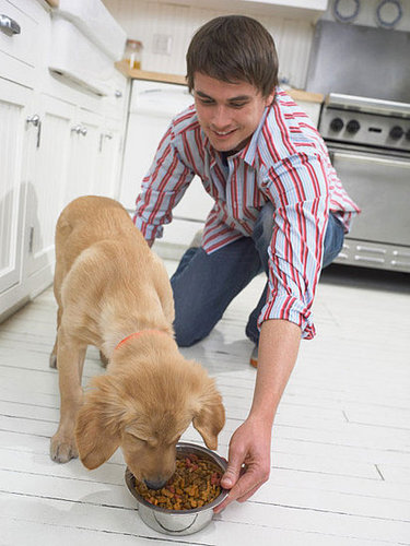 To the Rescue: Counting Calories for Dogs