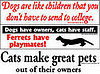 Gag Gift: Bumper Stickers