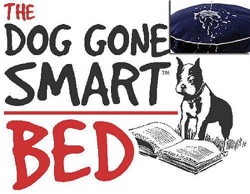Out and About: Connecticut's Dog Gone Smart Bed 