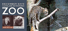Out and About: Ohio's Cleveland Metroparks Zoo Out and About: Ohio's Cleveland Metroparks Zoo
