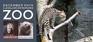 Out and About: Ohio's Cleveland Metroparks Zoo