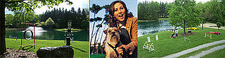 Out and About: Ohio's Companion Club Dog Park