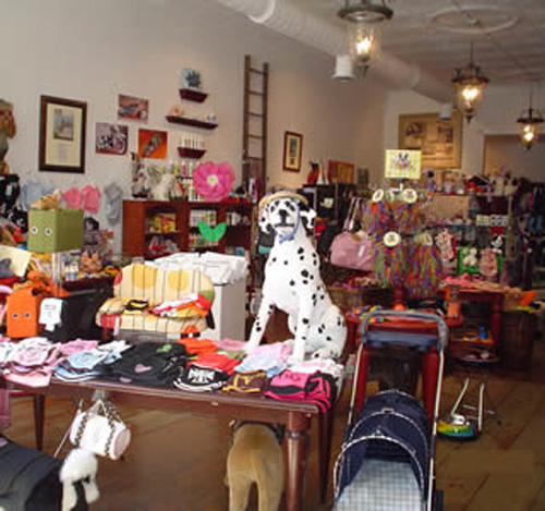 Out and About: Ohio's Posh Pets
