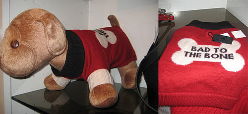 Come PetMarking With Me: Cozy Sweaters