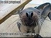 In the LINK of an Eye!