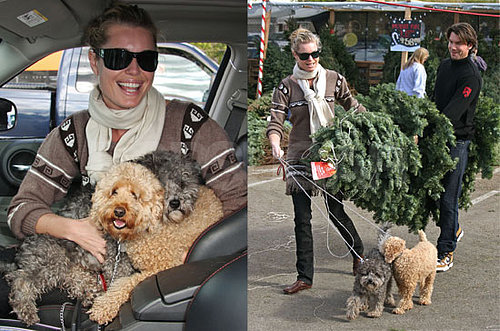 Yum! Taco . . . and Better Get a Tree
