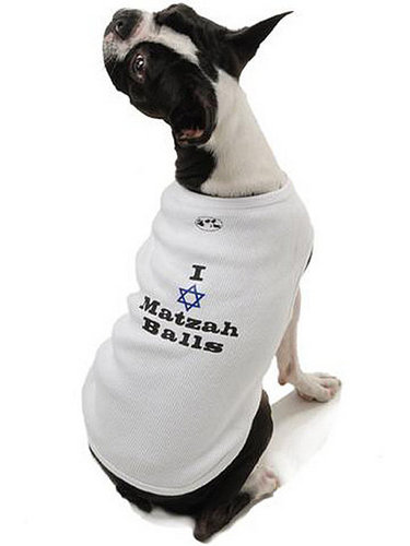 Pet Present Extravaganza: Hanukkah (Day 8)