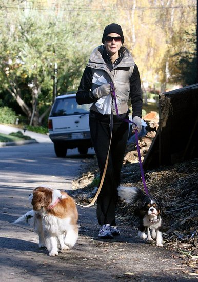 teri hatcher dog walk 091207 teri hatcher dog walk 091207