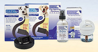 To the Rescue: Pets' Travel Prep