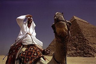 Where in the World Is Osama Bin Laden?