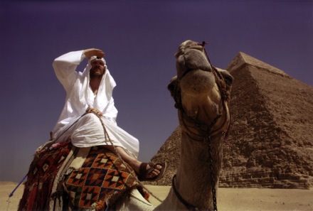 Where in the World Is Osama Bin Laden?