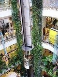 elevator.. cool ?