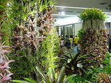 ground floor / in front of Chanel/ LV and Hermes