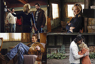 Sugar Shout Out: Cozy Cabin Chic