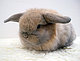 binkyob