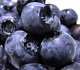 blooberry