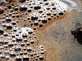 Bubbles atop freshly brewed coffee