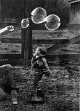 BubblesBlack & White photographs