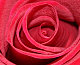 islandrose islandrose