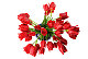 AlliesAnswers AlliesAnswers