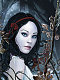 th_dreamer