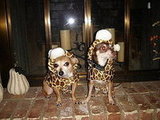 Ty's Halloween 2007