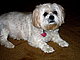 nannie1's picture