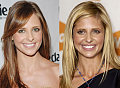 Do You Like Sarah Michelle Better as a Blonde or Brunette?