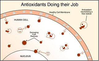 Antioxidant