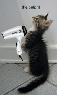 Beauty Mark It! Blow Dryers