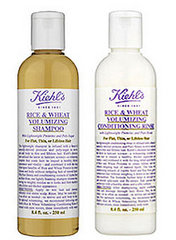 New Product Alert: Kiehl's Rice & Wheat Volumizing Shampoo & Conditioner New Product Alert: Kiehl's Rice & Wheat Volumizing Shampoo & Conditioner