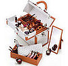 Must-Have of the Moment: Lancome/Goyard Train Case