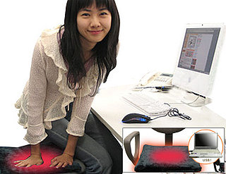 USB 'Hot Cushion': Totally Geeky or Geek Chic?