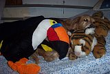 Kellogs... theres toucan Sam of froot loops, Tony the tiger from frosted flakes and.. Melvin from Cocoa krispies...