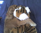 love!