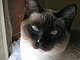 lhomey's picture