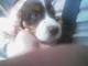 rigby rigby