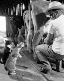 Cute or not?