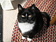 Amelie074