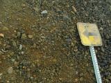 Snowmobile trail sign
