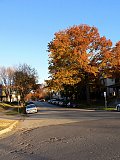 The street we lived on in Iowa