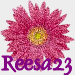 Reesa23 Reesa23