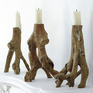 Trend Alert: Taking Root
