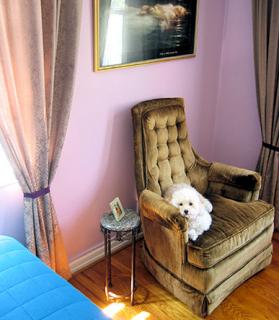Midday Muse: Laid-Back Lavender Walls